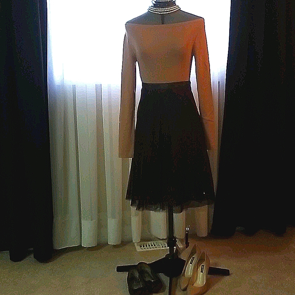 Tulle and Sequined Skirt